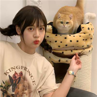 西双版纳伴游女生星晓莉的资料
